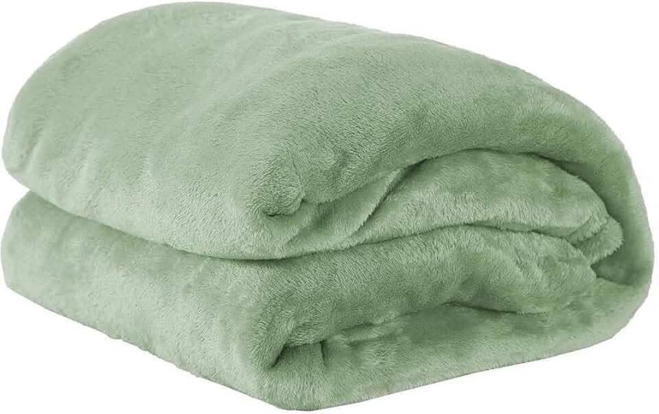 Cobertor Casal Manta Microfibra Fleece 01 Peça Erva Doce