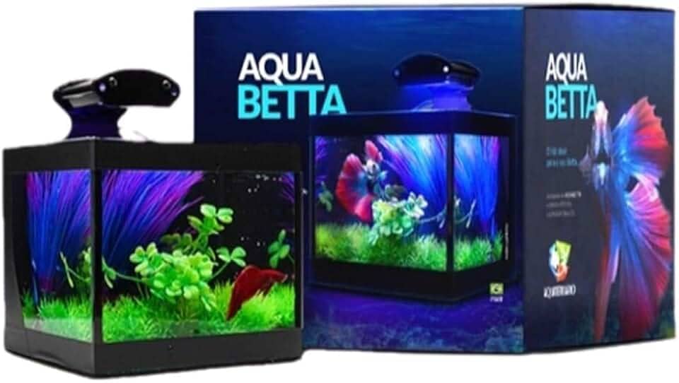 Aquário Betteira com Iluminação LED Bivolt e Decoração Aquabetta 17x15x15cm