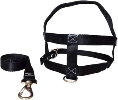 MY PET BRASIL Peitoral Para Cachorros N°1 Ajuste Fácil No Corpo Do Pet Nylon Coleira Peitoral Regulável Confortável E Resistente Preto