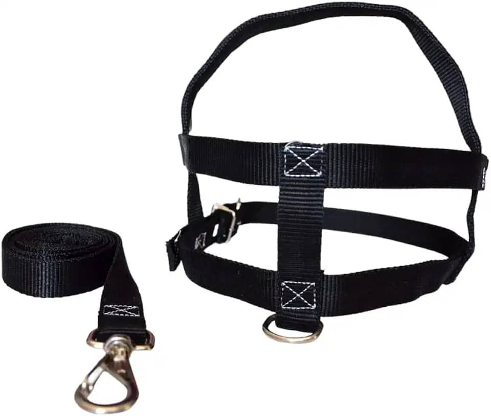 MY PET BRASIL Peitoral Para Cachorros N°1 Ajuste Fácil No Corpo Do Pet Nylon Coleira Peitoral Regulável Confortável E Resistente Preto