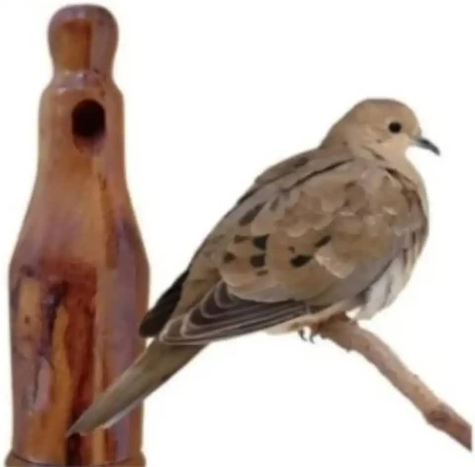 Apito Rola 21 Profissional Chamariz Pássaros Aves Ave