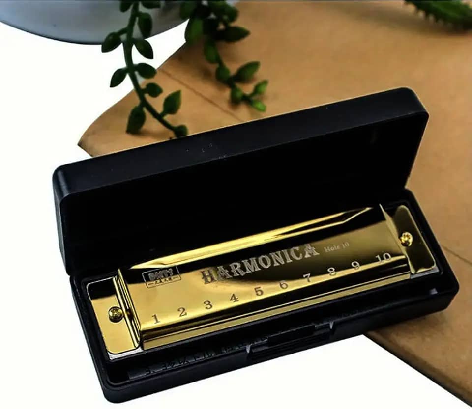 Gaita de Boca Harmônica 10 Furos em Dó (C) – Harmonica para Inicantes