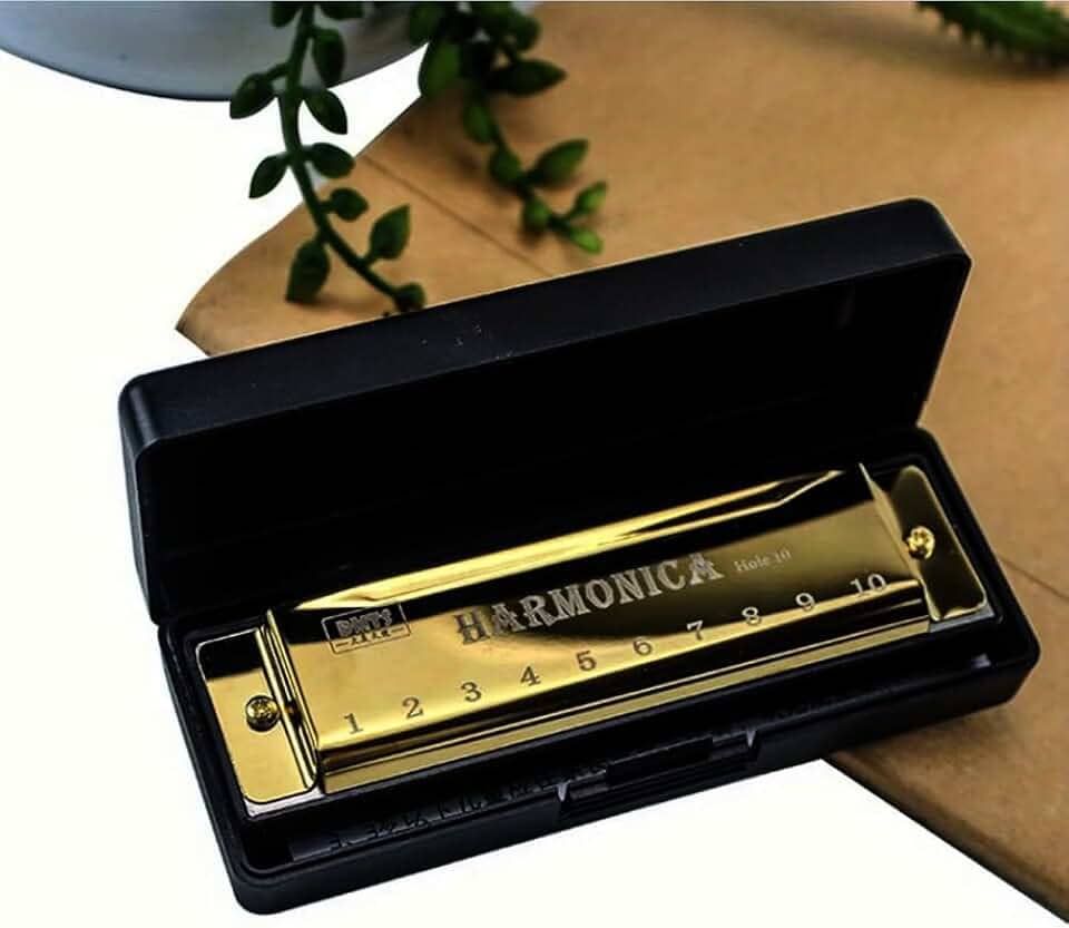 Gaita de Boca Harmônica 10 Furos em Dó (C) – Harmonica para Inicantes