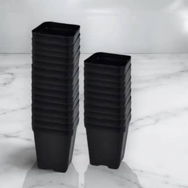 Kit 50 Vasos Quadrados Tamanho 9 Modelo 7x8cm de 200ml Plástico para Suculentas e Jardim