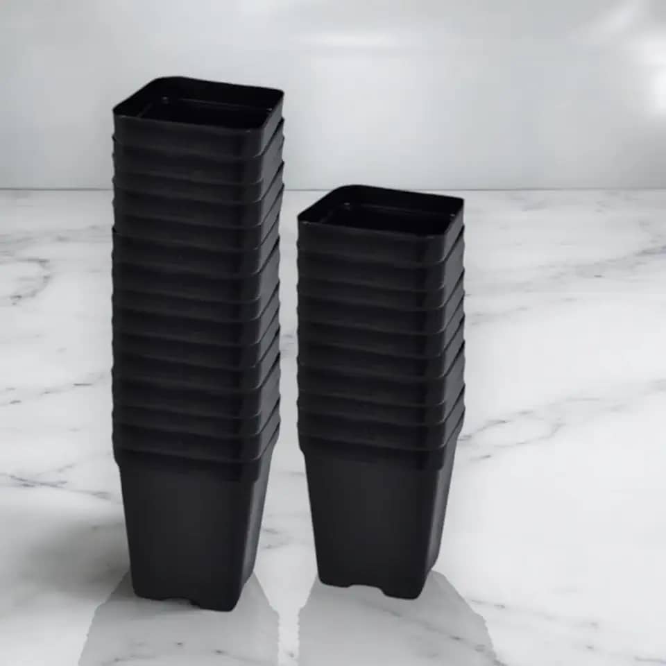 Kit 50 Vasos Quadrados Tamanho 9 Modelo 7x8cm de 200ml Plástico para Suculentas e Jardim