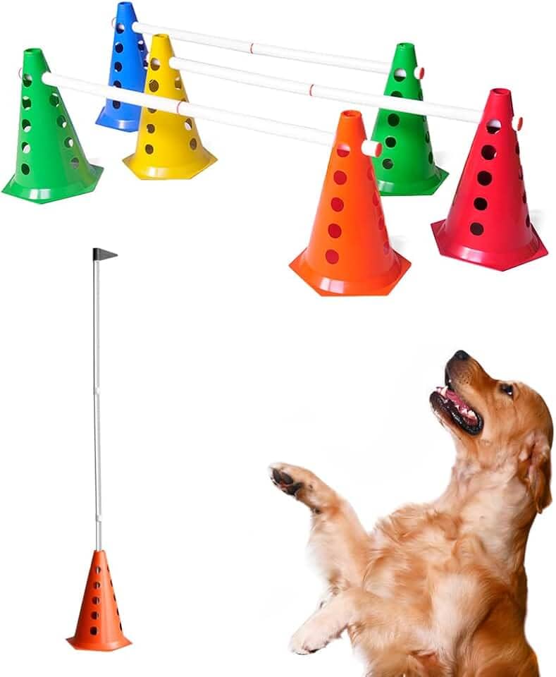Circuito Para Pets Adestramento de Cachorro Petshop 8 Cone Com Furo 4 Barreira