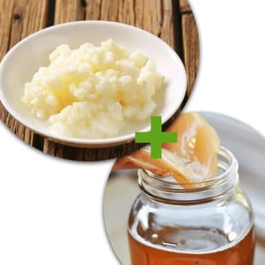 Kit Kombucha e Kefir de Leite Com Assessoria no Cultivo e Criação