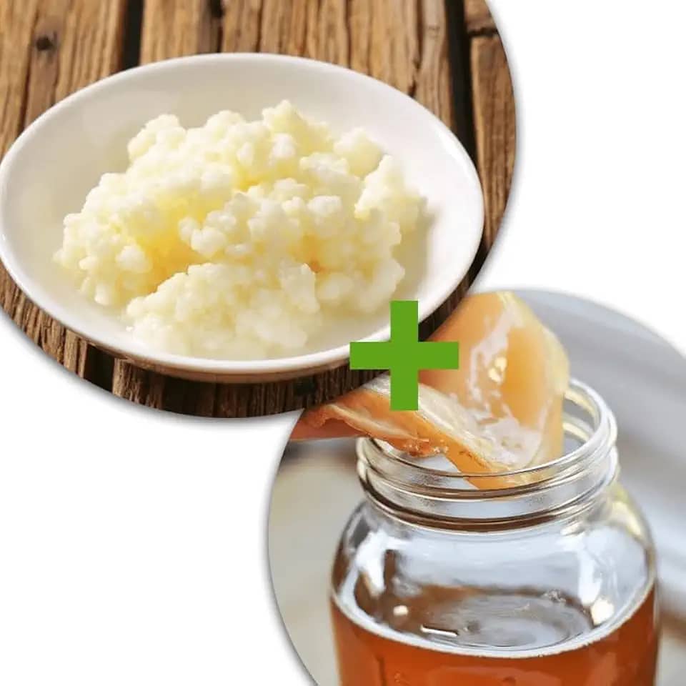 Kit Kombucha e Kefir de Leite Com Assessoria no Cultivo e Criação