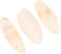 Scicalife Pássaro de Couveiro para periquitos, osso de carinho natural de 8 a 12 cm, osso de peixe de mastigar para bicos afiados, Pássaros Naturais, Cálcio Adequado para Papagaios de calopsitas, Conures de Budgie (bege)