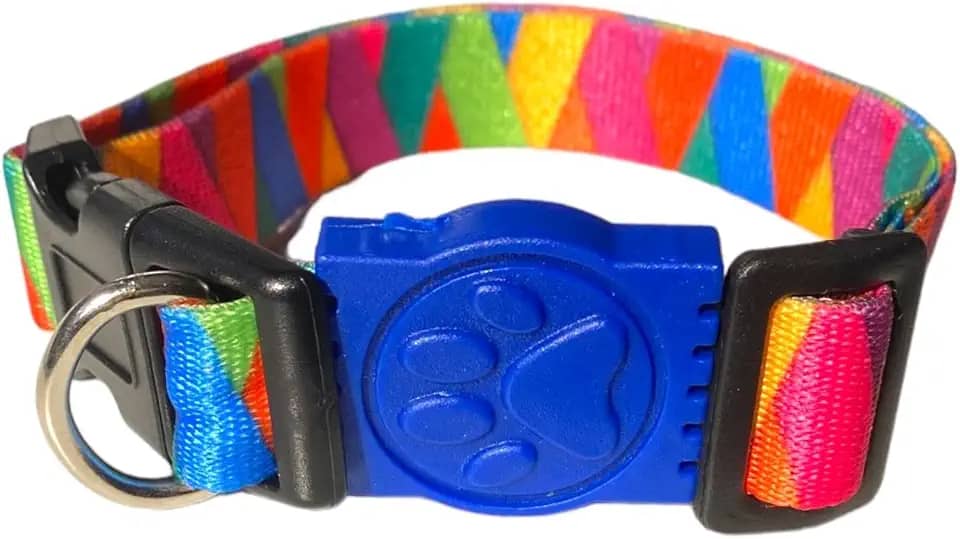 MY PET BRASIL Coleira Para Cachorros G Coleira Ajustável Madagascar Passeio E Viagem Confortável E Resistente