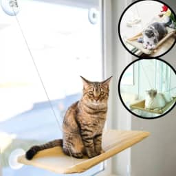 Cama Caminha Rede Suspensa De Janela Para Gatos Com Ventosa
