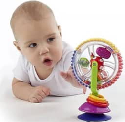 Brinquedo Rodinha Sensorial Giratoria Atividade Interativa