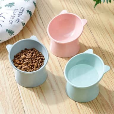 Comedouro Bebedouro Elevado Inclinado Gatos Cães Verde