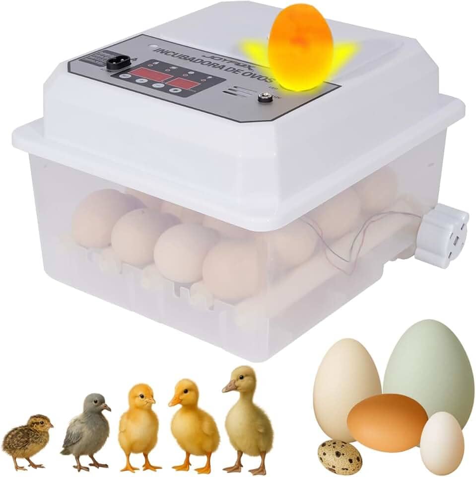 Joyfox Incubadora Automática 16-24 Ovos com Viragem Automática, Dupla Alimentação 127V/12V, LCD, Luz de Ovos e Modos Inteligentes – Ideal para Galinhas, Patos, Codornas e Gansos