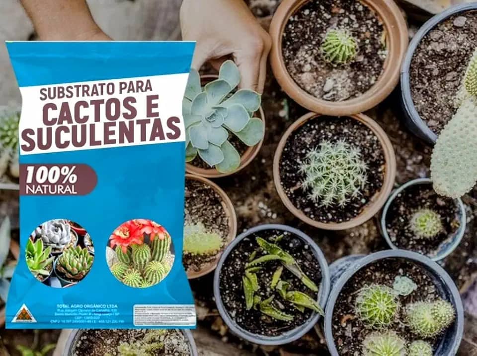 Substrato para Cactos e Suculentas 4kgs – Crescimento Saudável e Drenagem Perfeita!