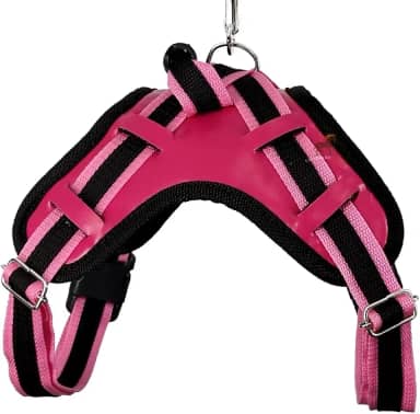 Coleira com Regulagem e Guia Peitoral Cachorro Grande Guia Doberman Pitbull Anti Puxão coleira cachorro (ROSA,G)