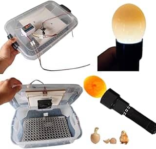 Genérico Chocadeira Pet 220 Volts Com Ovoscopio Cooler Para 30 Ovos De Galinha Ou 90 De Codorna