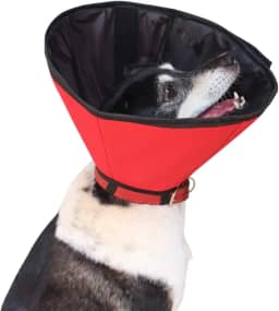 Colar Elizabetano Impermeável e Confortável Para Cães - Tam 02 - Pet Designer