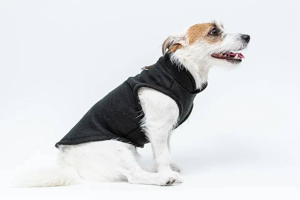 Roupa para Cachorros e Gatos Pet Soft - Roupas para Frio (Preto, 6)
