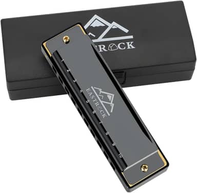 EastRock Blues Harmonica boca órgão 10 furos C chave com capa, gaita diatônica para jogadores profissionais, iniciantes, estudantes, adultos, amigos, presente preto
