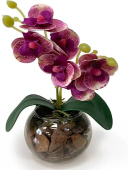 Arranjo Mini Orquídea Artificial no Vaso de Vidro Transparente com Casca – Decoração Sofisticada (Roxo)