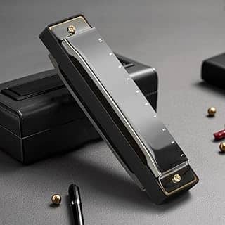 Gaita, Gaita de Boca, Gaita Diatônica Blues Chave C, Blues Boca Organ Harmonica 10 Furos com Caixa Preto, Gaita Padrão para Adultos, Profissionais, Iniciantes e Estudantes, 100 * 28 * 18mm