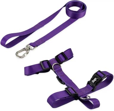 Coleira Peitoral Com Guia Para Cachorro Cães Modelo Tradicional H Tamanho Porte Grande Médio Pequeno (M, Roxo)