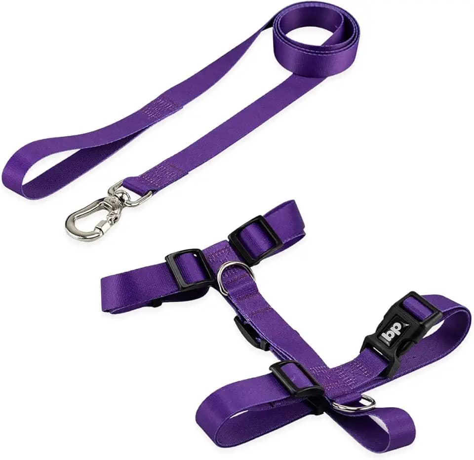 Coleira Peitoral Com Guia Para Cachorro Cães Modelo Tradicional H Tamanho Porte Grande Médio Pequeno (M, Roxo)