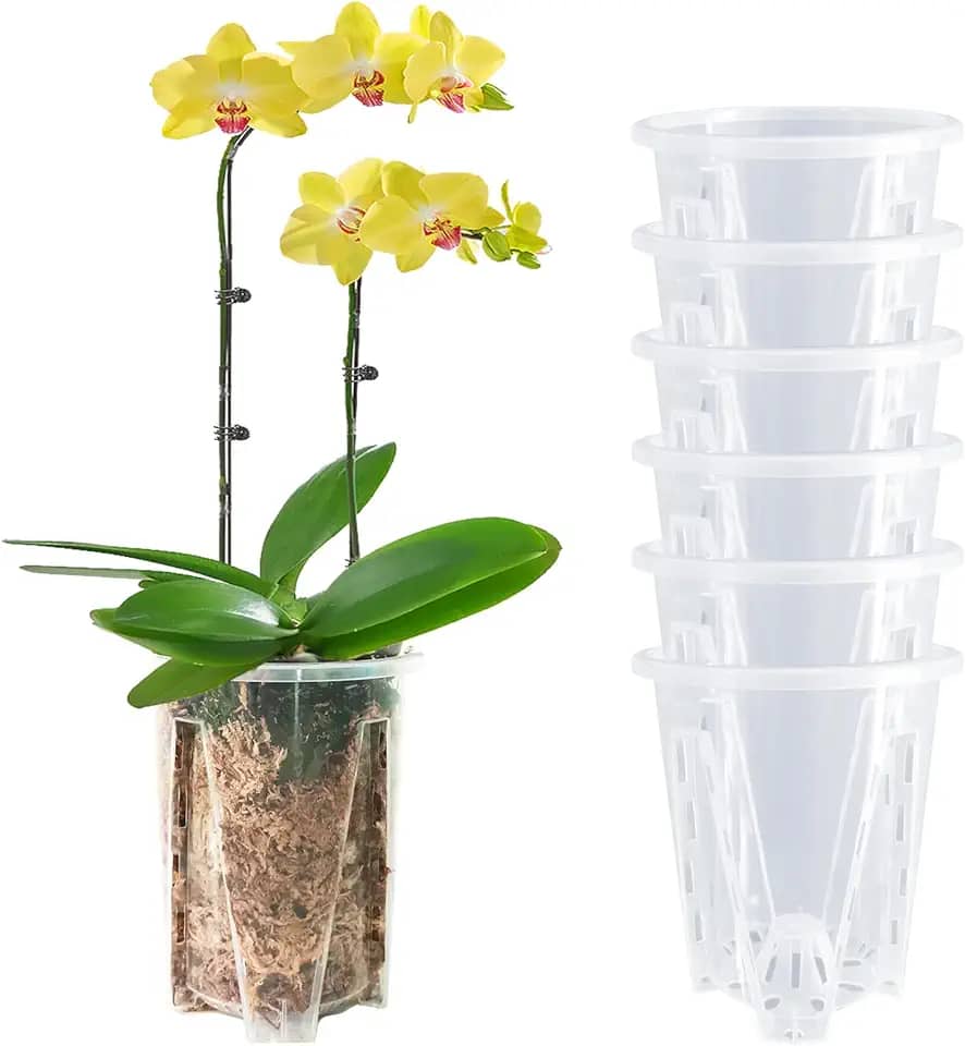 Pote de orquídeas pacote com 6, vasos de orquídeas transparentes de 12 cm com furos, vaso de orquídeas para replantação, vaso de flores interno e externo, vaso de orquídeas