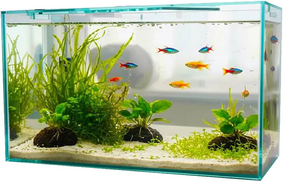 Aquário retangular transparente – Aquário compacto para peixes betta e pequenos peixes de água doce, adequado para residências, escritórios e decoração ambiental