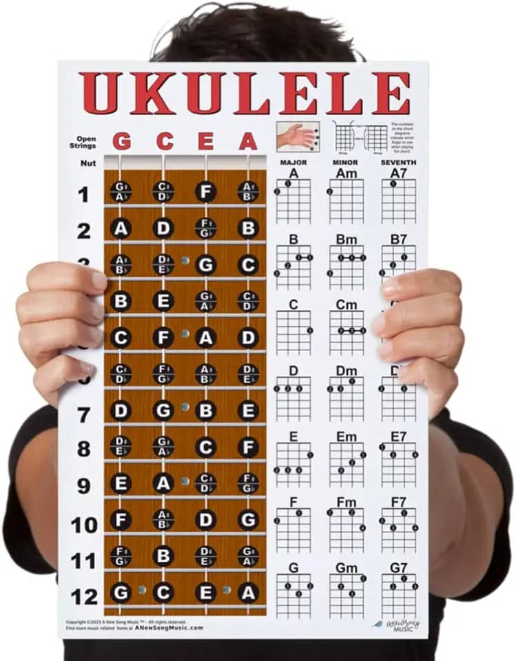 Notas de escala de ukulele laminado e tabela de acordes fácil para iniciantes 28 x 43 cm pôster instrucional para concerto soprano tenor uke por A New Song Music
