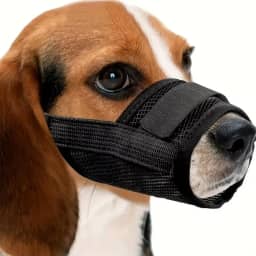 Focinheira Respirável Regulável para Cachorro Pequeno Médio e Grande Tamanhos P/M/G/GG/GGG 8 Cores (Preto, M)