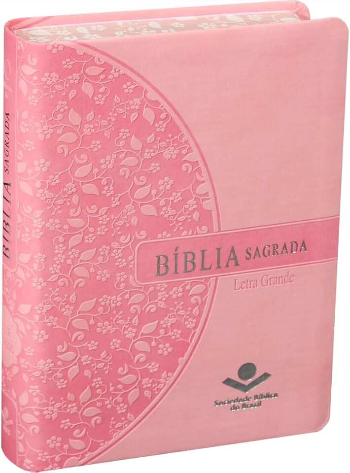 Bíblia Sagrada ARA Letra Grande | Letra Grande SBB: Almeida Revista e Atualizada (ARA)