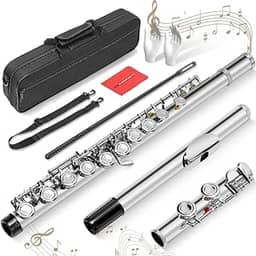Kit Flauta Transversal Prateada Dó, 16 Furos C Flauta Chave Fechada, Instrumento de 16 Teclas para Iniciantes