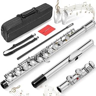 Kit Flauta Transversal Prateada Dó, 16 Furos C Flauta Chave Fechada, Instrumento de 16 Teclas para Iniciantes