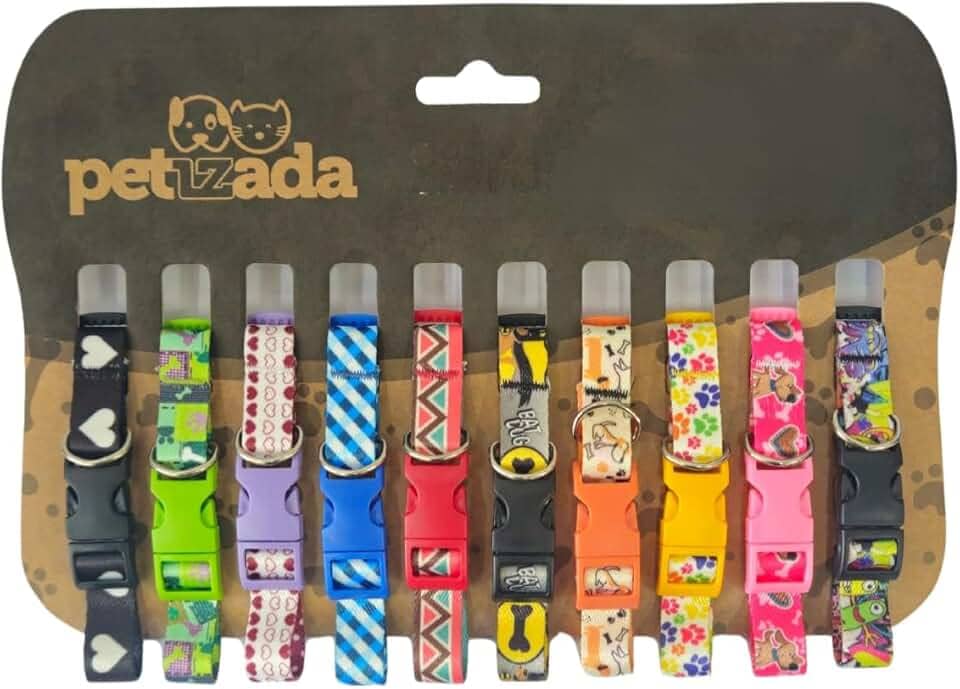 Coleira para pet cachorros filhotes de identificação cartela com 10 unidades