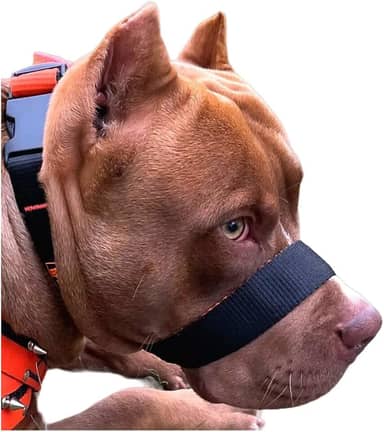 A Única Focinheira Confortável Do Mercado A Mais Vendida Pet (M)