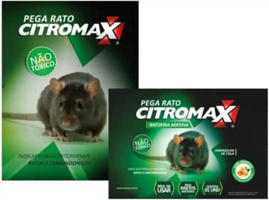 Ratoeira adesiva pega rato camundongo kit com 12 unidades