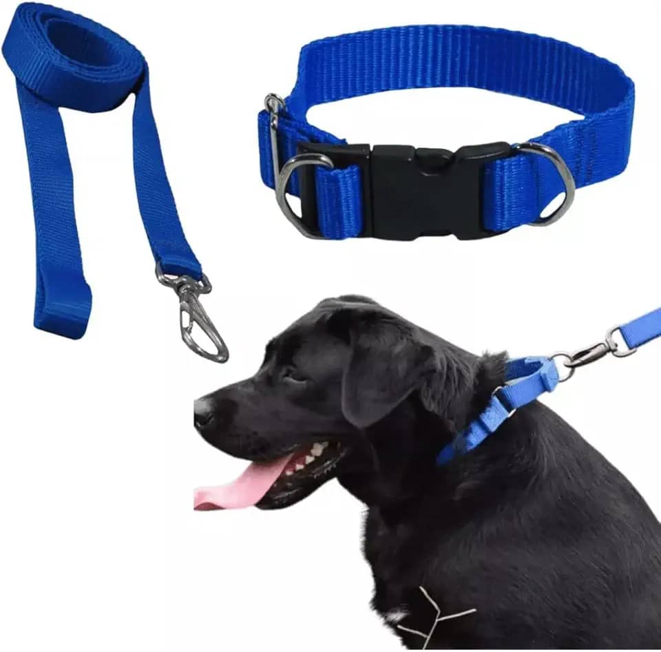 Coleira Com Guia Para Cachorro Pet Grande/médio Resistente (Azul)