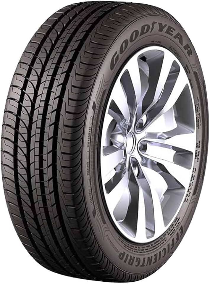 Pneu Goodyear Aro 16 EfficientGrip Performance 205/55R16 91V - Original Golf