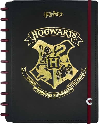 Caderno Inteligente, Grande, Harry Potter, 200x275 mm, 80 Folhas
