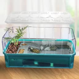 Kit de habitat para tanque de tartaruga - Tanque único verde médio com capa antiescape, cerca transparente removível e plataforma de frade