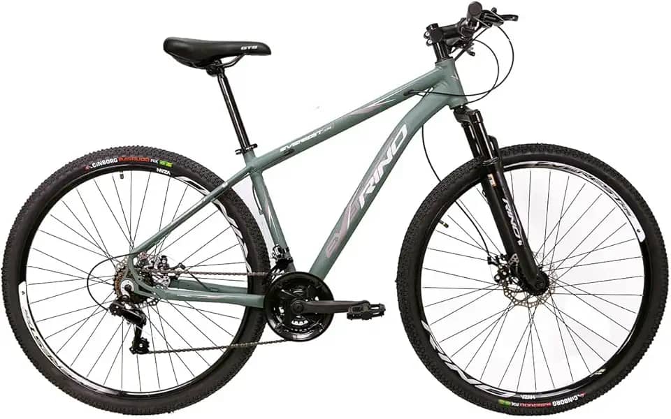 BICICLETA ARO 29 RINO EVEREST 24V - CAMBIOS INDEX