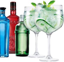 2 Taças Gin Vidro 650ml Ideal p/Beefeater Tanqueray Bombay