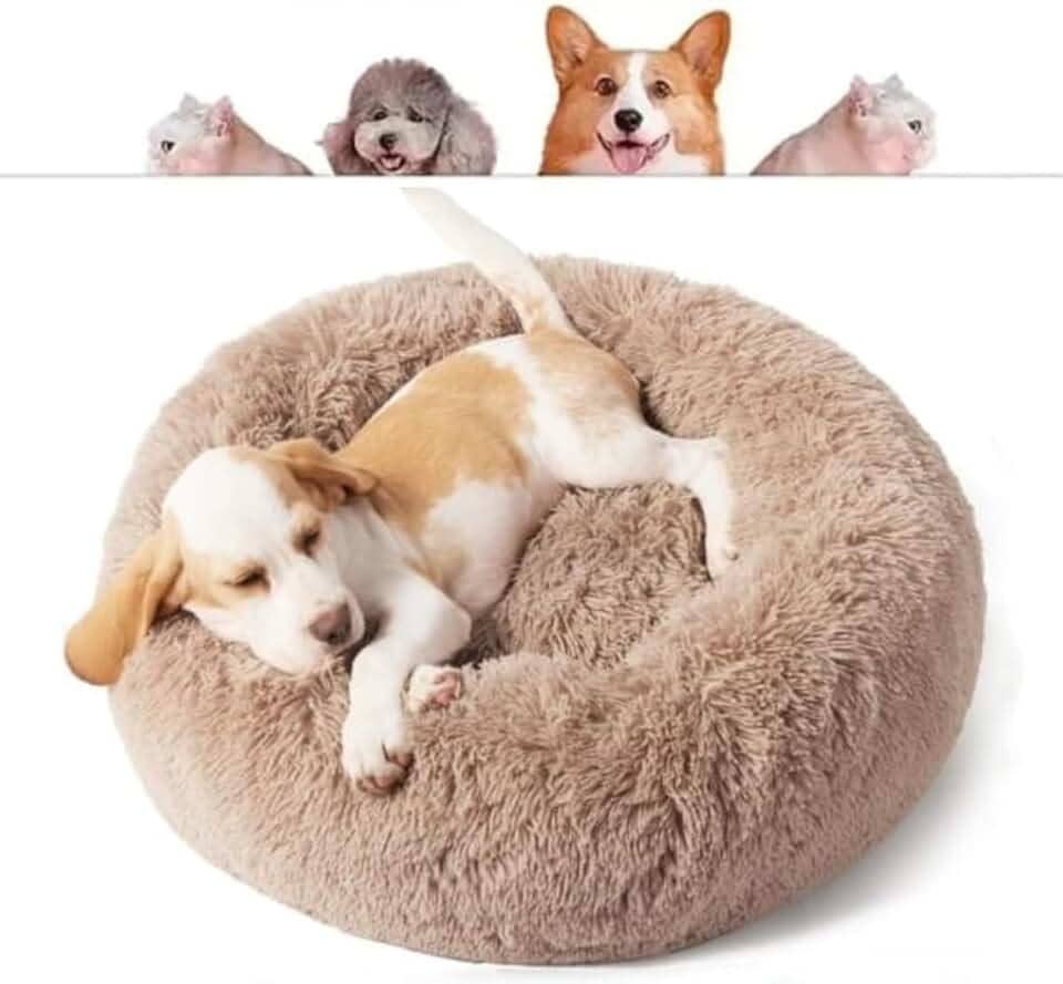 CAMA PET NUVEM PELUCIA REDONDA M 50X50X12 CAMINHA PELUCIADA CASA NINHO Cachorros E Gatos DONUT CASINHA PELUCIA FUNDO ANTIDERRAPANTE QUALIDADE PREMIUM (CARAMELO)