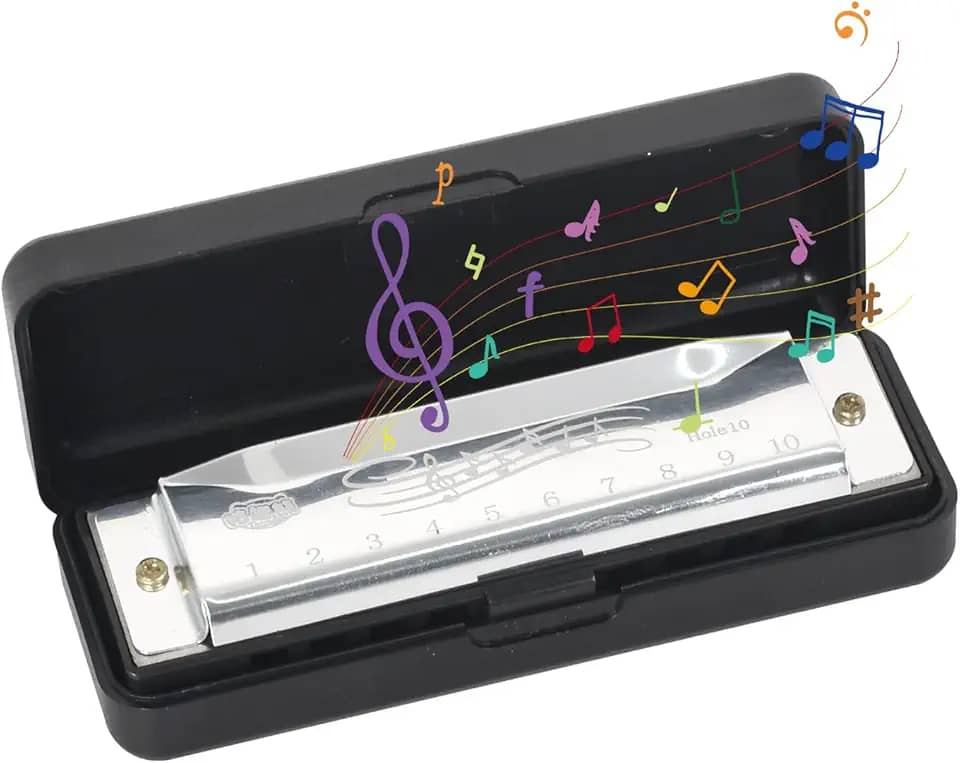 Gaita C maior de 10 furos com capa, para iniciantes e profissionais