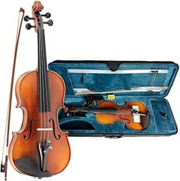 Violino Vivace Strauss 4/4 Fosco Com Case Térmico