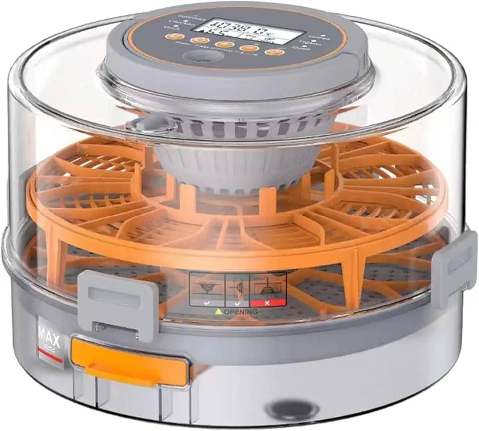 Chocadeira digital para ovos, chocadeira automática para aves, de mesa fácil de limpar para aves, viradora de ovos para galinhas e pombos, para 20 Ovos