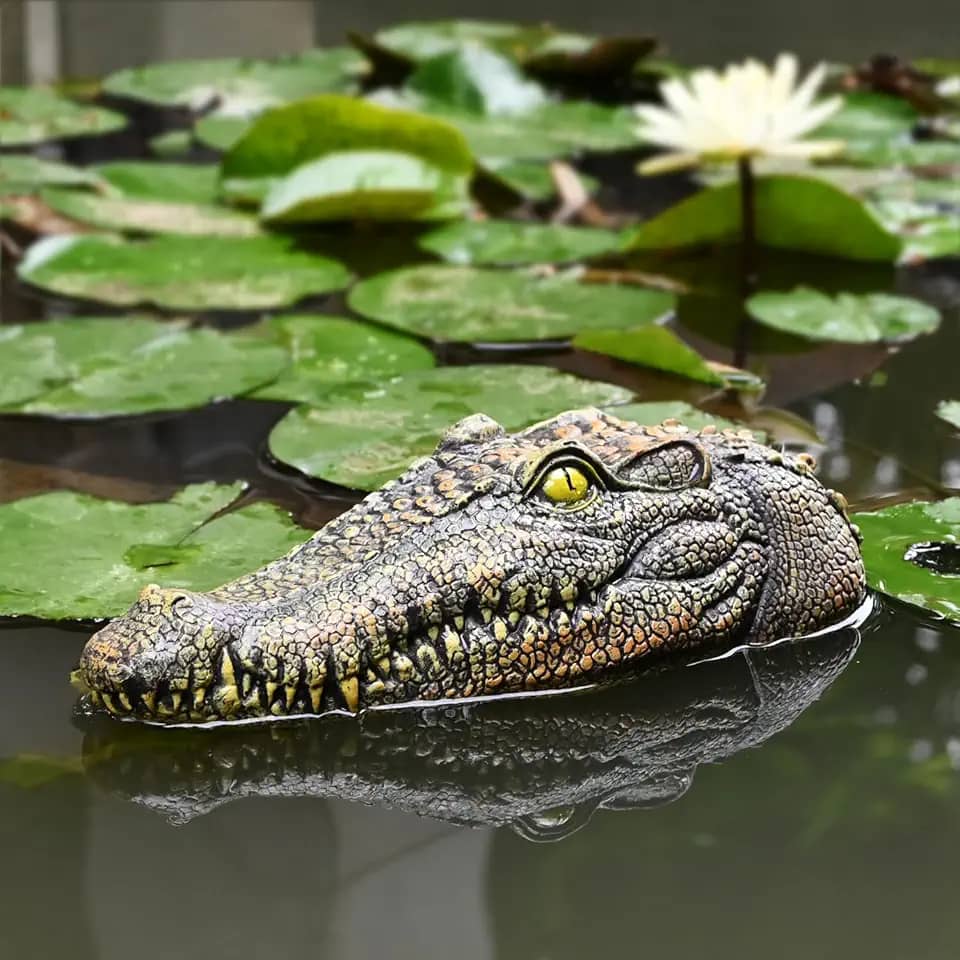 Juliahestia Decoração assustadora de cabeça de jacaré ao ar livre - flutuador de crocodilo para piscina jacaré para assustar gansos e pássaros patos - decoração de lago flutuante para jardim ao ar