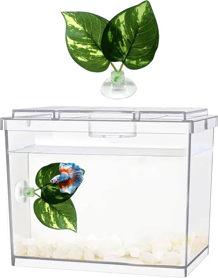 Mini Aquário Betta, 1 litro, Plástico, Transparente, Empilhável, Kit para Iniciantes, Peixe, Aquário